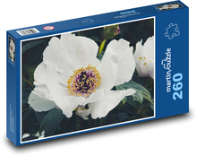 Pivonka biela - okvetné lístky, kvet Puzzle 260 dielikov - 41 x 28,7 cm 