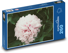 Rosa Pfingstrose - Blume, Garten Puzzle 260 Teile - 41 x28,7 cm