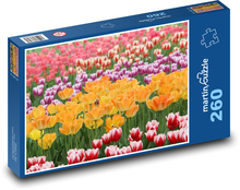 Tulipány - kvety, rastliny Puzzle 260 dielikov - 41 x 28,7 cm 