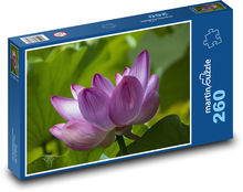Lotus flower - purple plant, purple flower Puzzle 260 pieces - 41 x 28.7 cm 