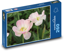 Růžové tulipány - květ, zahrada  Puzzle 260 dílků - 41 x 28,7 cm