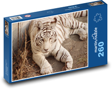 Weißer Tiger - große Katze, Säugetier Puzzle 260 Teile - 41 x28,7 cm