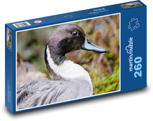 Duck - waterbird, feathers Puzzle 260 pieces - 41 x 28.7 cm 
