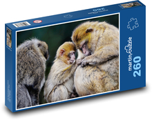 Makaken - Affen, Tiere Puzzle 260 Teile - 41 x28,7 cm