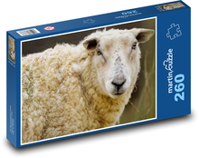 Sheep - animal, mammal Puzzle 260 pieces - 41 x 28.7 cm 