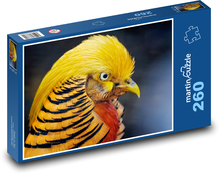 Goldener Fasan - Vogel, Federn Puzzle 260 Teile - 41 x28,7 cm