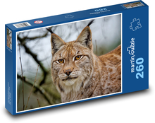 Lynx - animal, wild cat Puzzle 260 pieces - 41 x 28.7 cm 