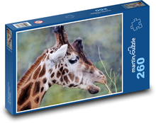 Žirafa - prežúvavec, cicavec Puzzle 260 dielikov - 41 x 28,7 cm 