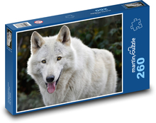 Biely vlk - divoké zviera, cicavec Puzzle 260 dielikov - 41 x 28,7 cm 