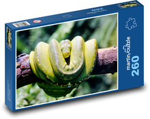 Python - wąż, gad Puzzle 260 elementów - 41x28,7 cm
