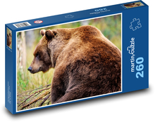Medvěd hnědý - grizzly, zvíře Puzzle 260 dílků - 41 x 28,7 cm