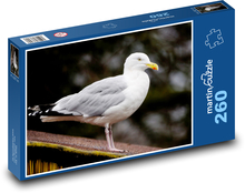 Silbermöwe - Vogel, Federn Puzzle 260 Teile - 41 x28,7 cm