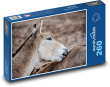 Turkmenský kulan - osel, zvíře  Puzzle 260 dílků - 41 x 28,7 cm