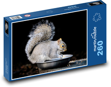Šedá veverka - hlodavec, savec Puzzle 260 dílků - 41 x 28,7 cm