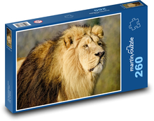 Lew azjatycki - myśliwy, ssak Puzzle 260 elementów - 41x28,7 cm