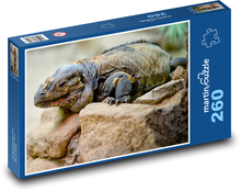 Iguana - gad, jaszczurka Puzzle 260 elementów - 41x28,7 cm