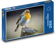 Robin - ptak, pióra Puzzle 260 elementów - 41x28,7 cm