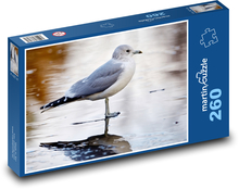 Racek - pták, moře Puzzle 260 dílků - 41 x 28,7 cm