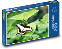 Vidlochvost - motýľ, list Puzzle 260 dielikov - 41 x 28,7 cm