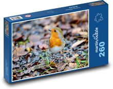 Robin - ptak, pióra Puzzle 260 elementów - 41x28,7 cm
