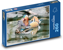 Kachnička mandarinská - kachna, pták Puzzle 260 dílků - 41 x 28,7 cm
