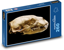 Lebka ledního medvěda - zvíře, savec Puzzle 260 - 41x28,7 cm