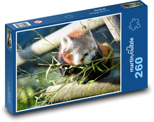 Panda červená - bylinožravec, zviera Puzzle 260 dielikov - 41 x 28,7 cm 