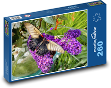 Motýľ - kvetina, hmyz Puzzle 260 dielikov - 41 x 28,7 cm 