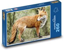 Liška - divoké zvíře, savec Puzzle 260 dílků - 41 x 28,7 cm