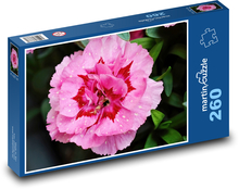 Pink flower - flower, garden Puzzle 260 pieces - 41 x 28.7 cm 