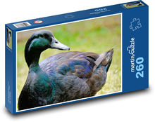 Kachna - vodní pták, zvíře Puzzle 260 dílků - 41 x 28,7 cm