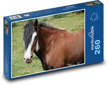 Hnedý kôň - zviera, farma Puzzle 260 dielikov - 41 x 28,7 cm