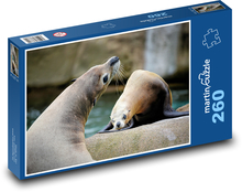 Seelöwen - Wassertiere, Säugetiere Puzzle 260 Teile - 41 x28,7 cm