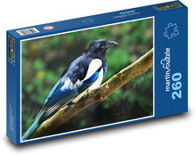 Elster - Vogel, Tier Puzzle 260 Teile - 41 x28,7 cm