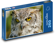 Sova - dravý pták, zvíře Puzzle 260 - 41x28,7 cm