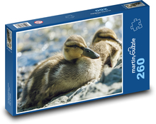Kačice - vodné vtáctvo, vtáky Puzzle 260 dielikov - 41 x 28,7 cm 