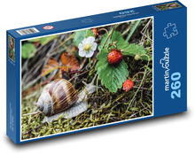 Ślimak - truskawki, las Puzzle 260 elementów - 41x28,7 cm