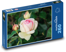 Rosen - Blume, Garten Puzzle 260 Teile - 41 x28,7 cm
