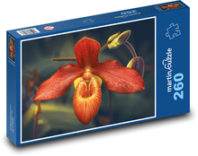 Tropical orchid - flower, flower Puzzle 260 pieces - 41 x 28.7 cm 