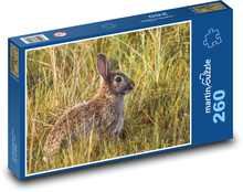 Králik v tráve - voľne žijúcich živočíchov, sedieť Puzzle 260 dielikov - 41 x 28,7 cm 