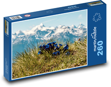 Hořce - modré květiny, hory Puzzle 260 dílků - 41 x 28,7 cm