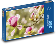 Magnolia - jarná kvetina, záhrada Puzzle 260 dielikov - 41 x 28,7 cm 