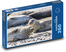 Seal - animal, beach Puzzle 260 pieces - 41 x 28.7 cm 