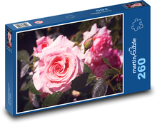 Rose - rosa Blume, Blume Puzzle 260 Teile - 41 x28,7 cm