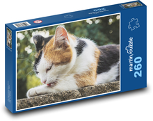 Muschi - Haustier, Baby Puzzle 260 Teile - 41 x28,7 cm