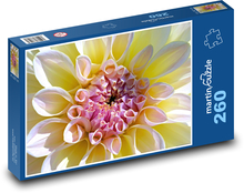 Bílá jiřina - zahradní květina, květ Puzzle 260 dílků - 41 x 28,7 cm