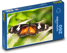 Motýľ - exotický hmyz, krídla Puzzle 260 dielikov - 41 x 28,7 cm