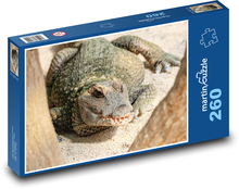 Krokodýl - nebezpečný plaz Puzzle 260 dílků - 41 x 28,7 cm