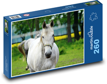 Grey horse - animal, farm Puzzle 260 pieces - 41 x 28.7 cm 