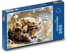 Toads - frogs, amphibians Puzzle 260 pieces - 41 x 28.7 cm 